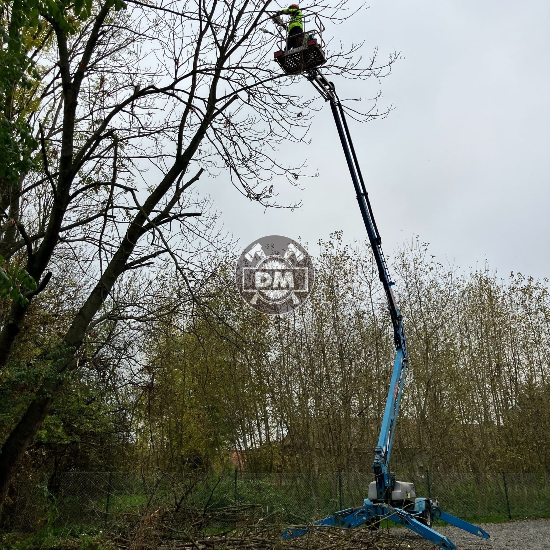 Ořez stromů a směrové kácení