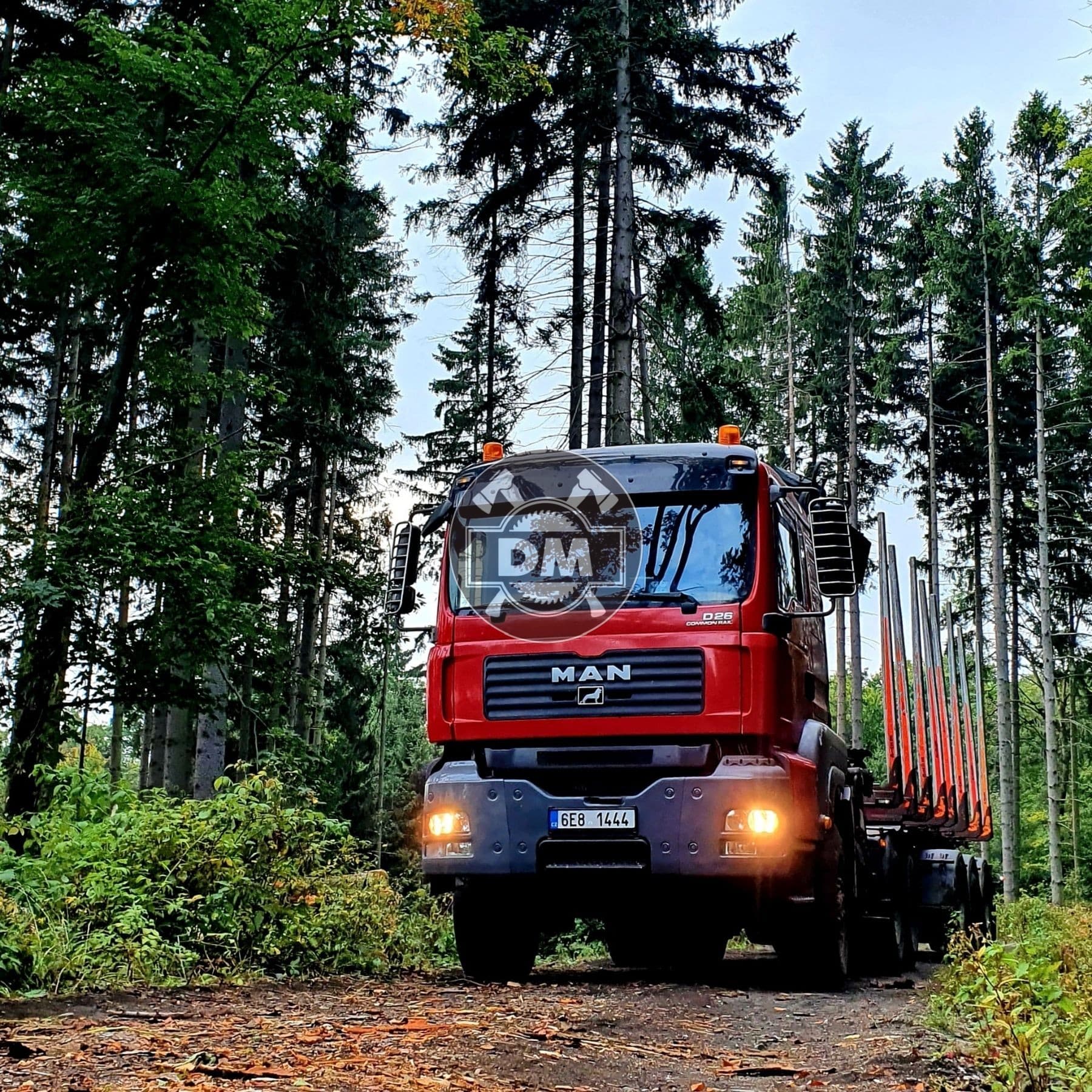 Fotografie z galerie