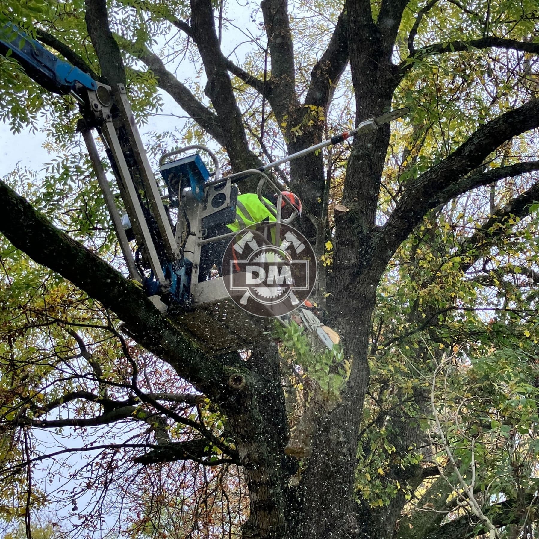 Fotografie z galerie