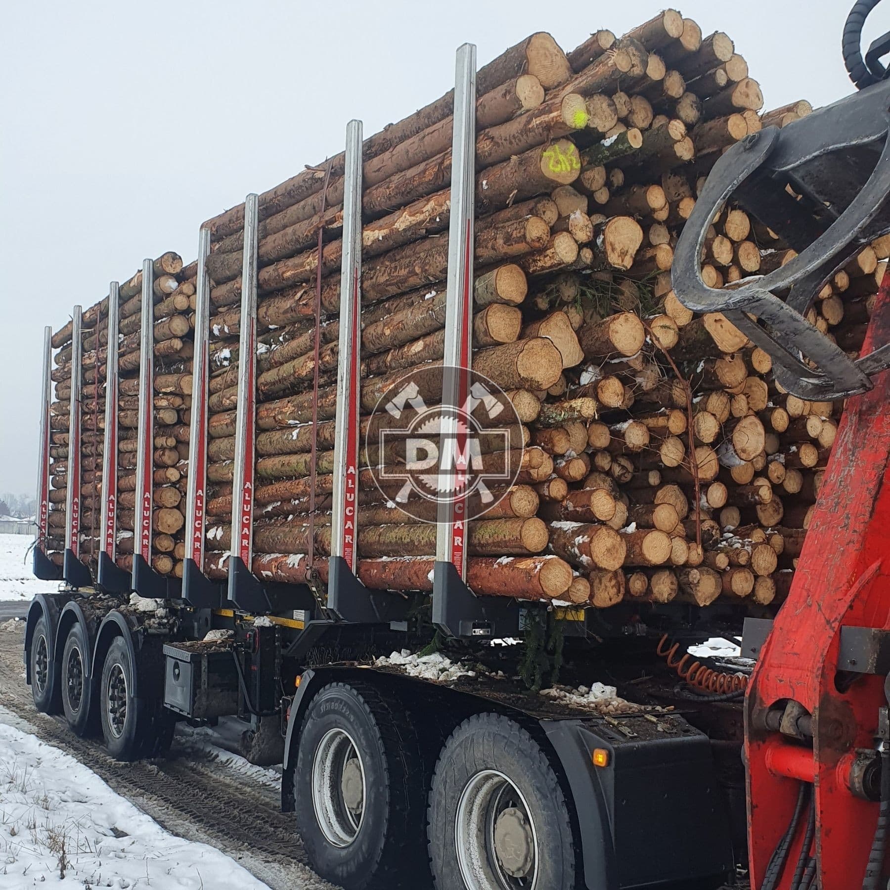 Fotografie z galerie