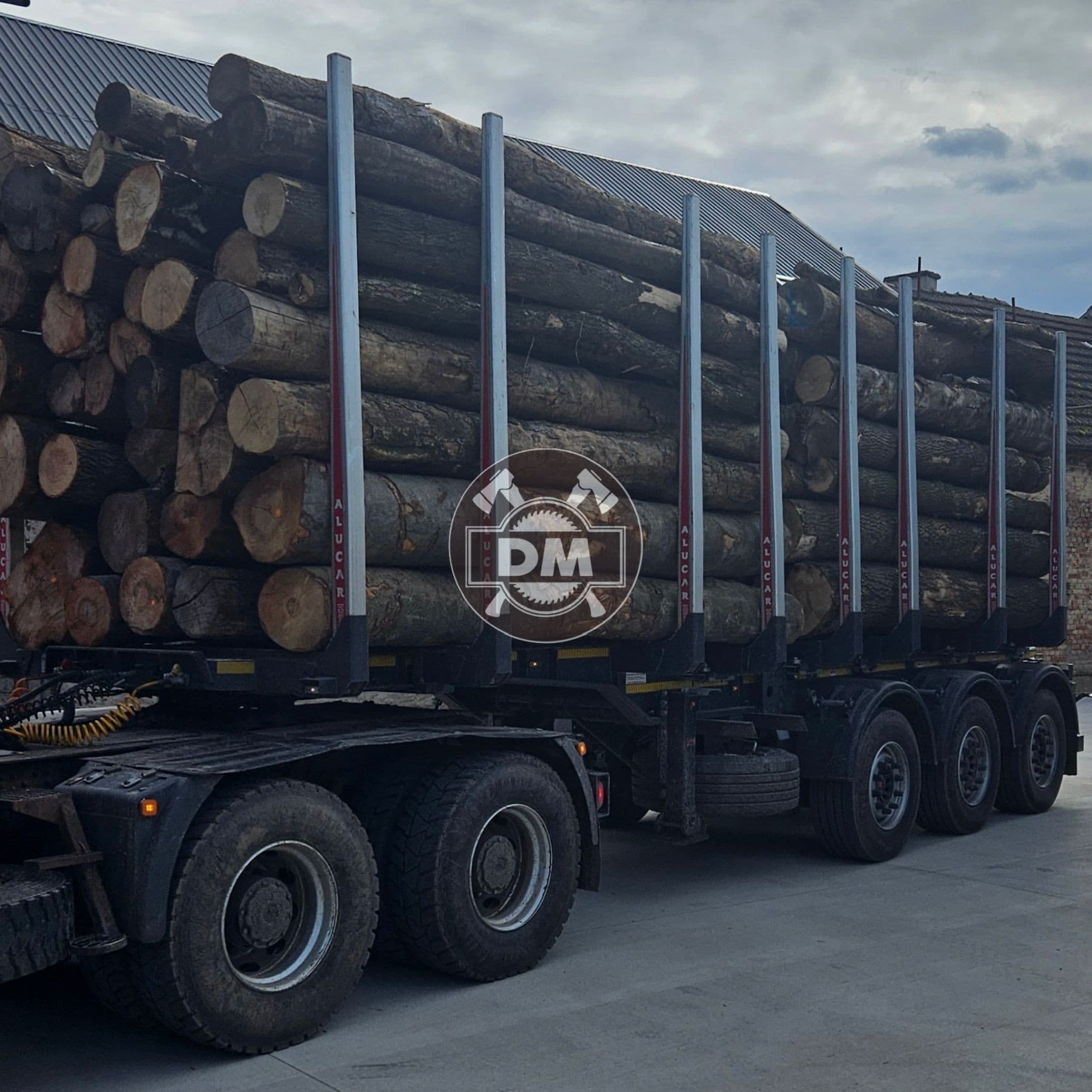 Fotografie z galerie