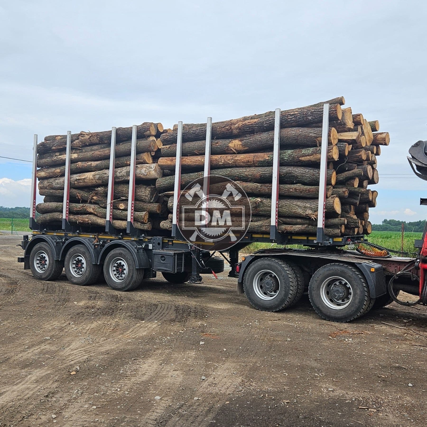 Fotografie z galerie