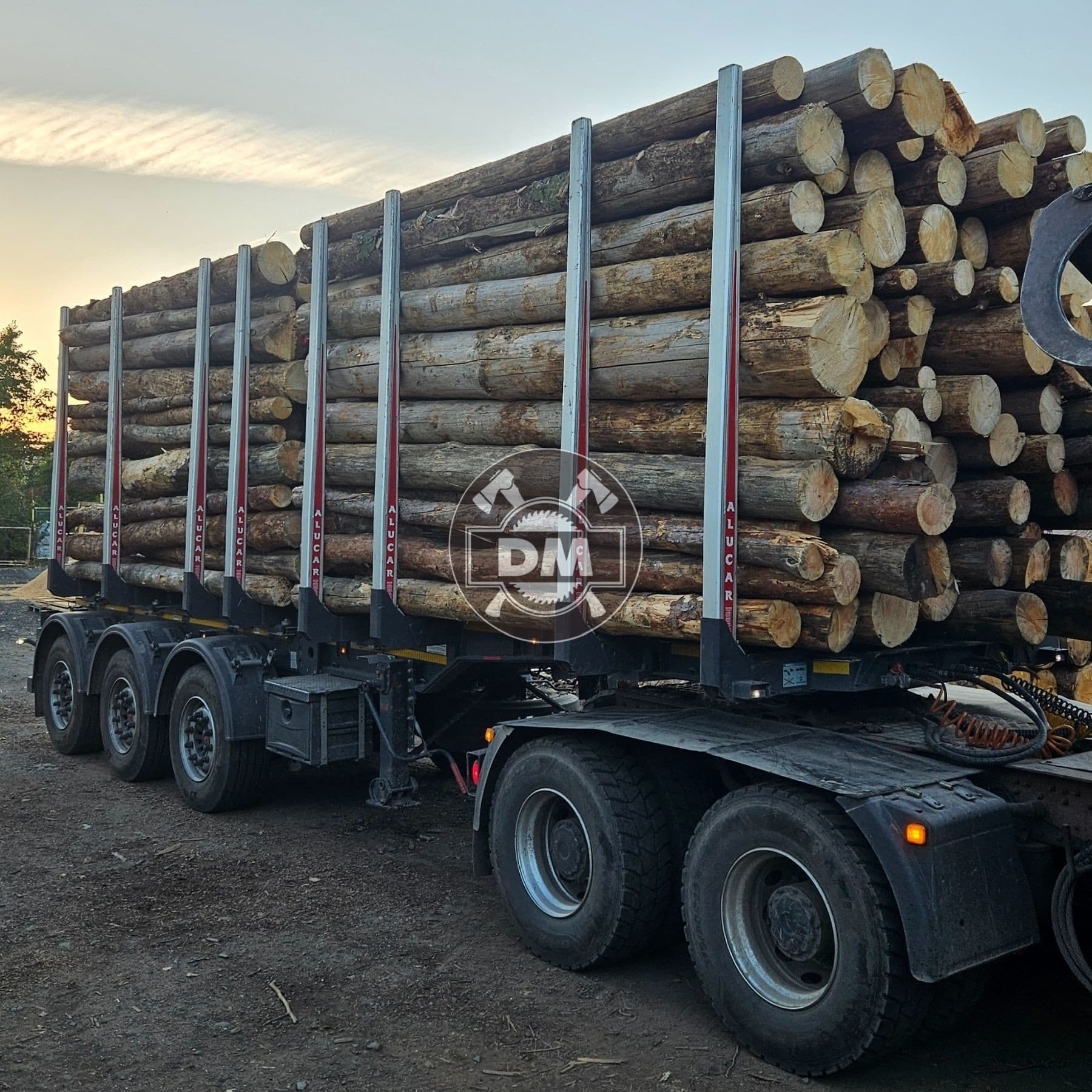 Fotografie z galerie