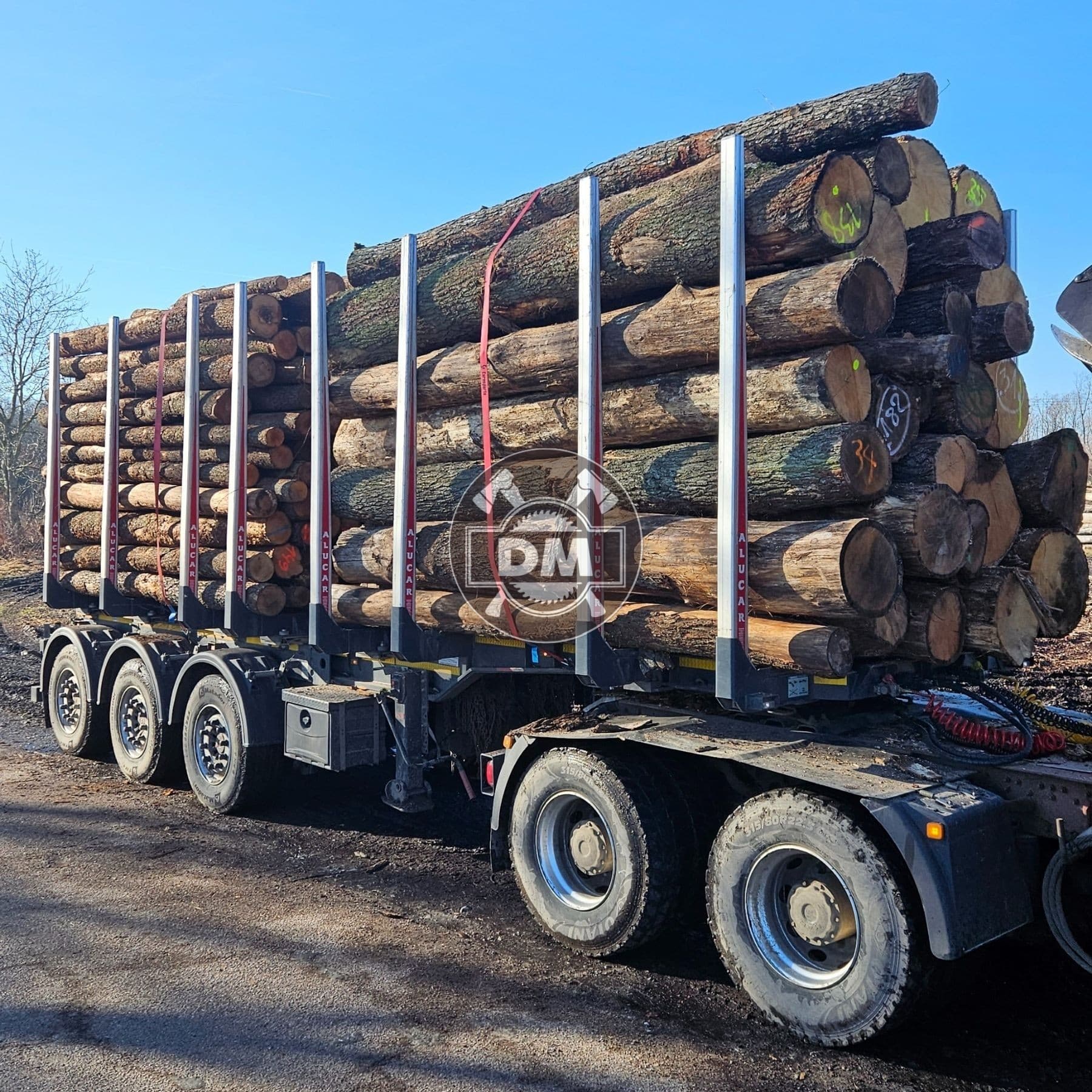 Fotografie z galerie