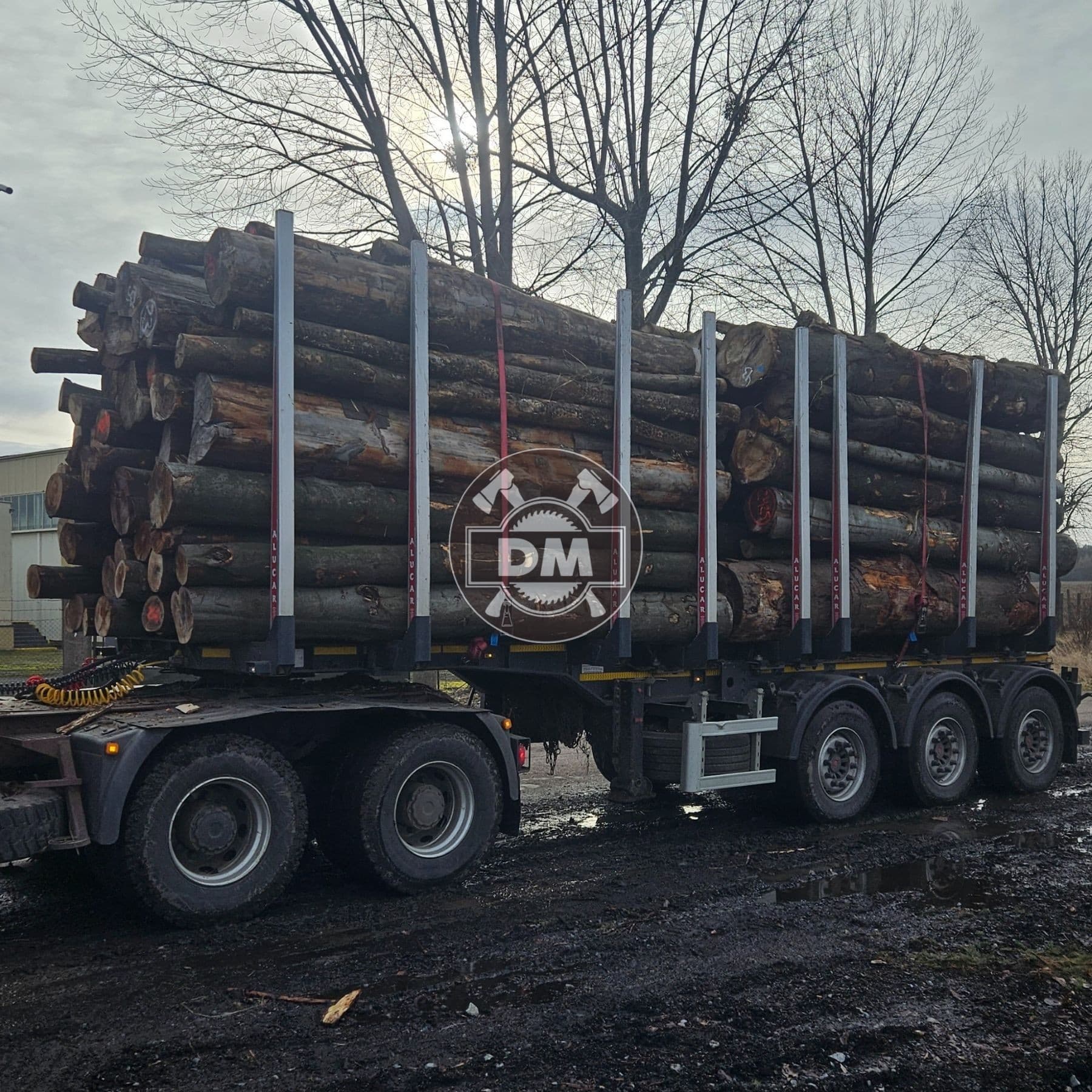 Fotografie z galerie