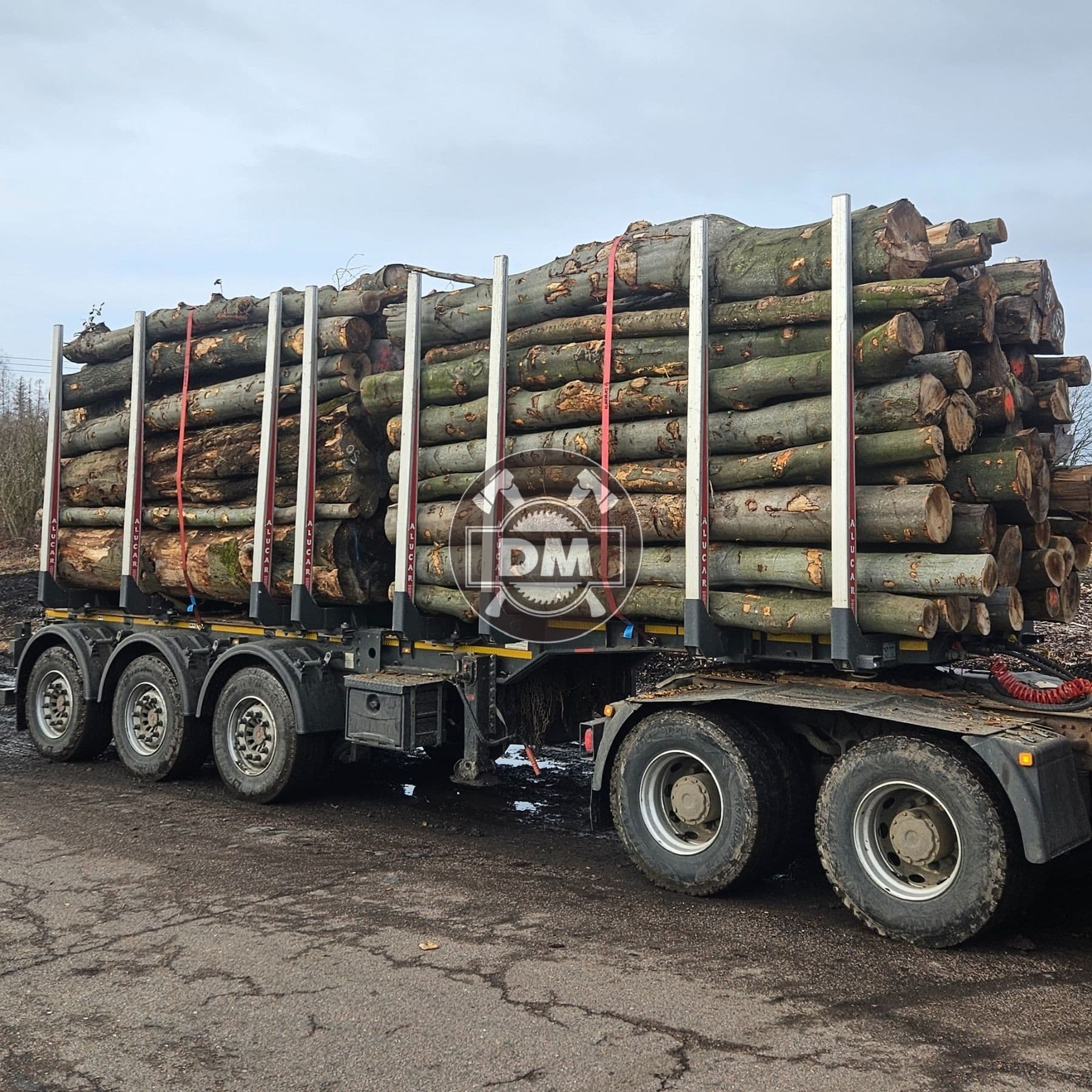 Fotografie z galerie