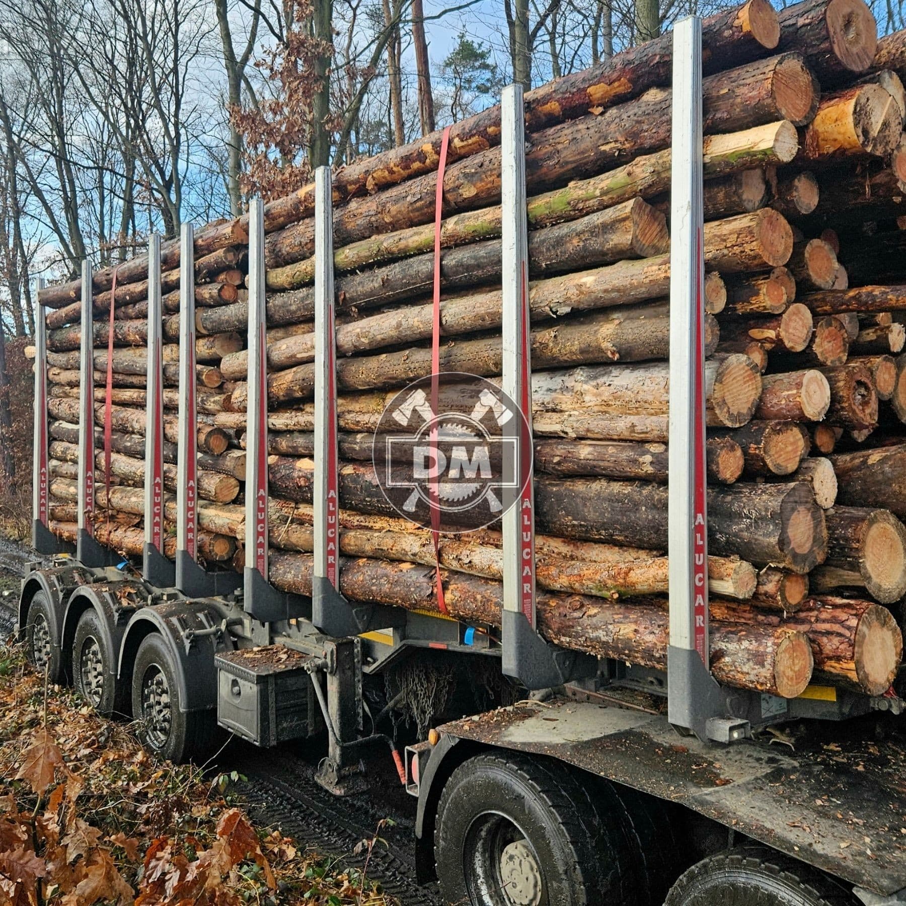 Fotografie z galerie