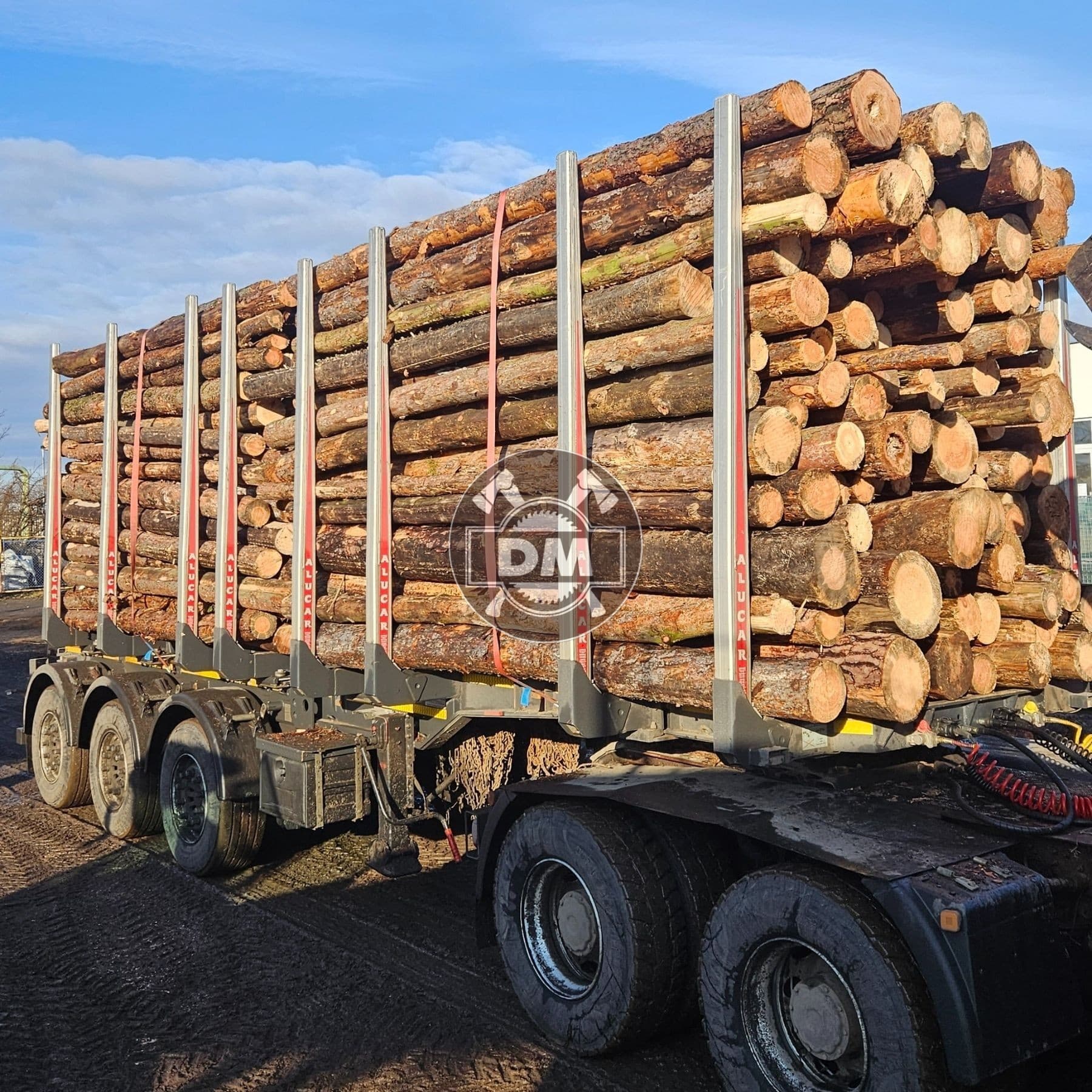 Fotografie z galerie