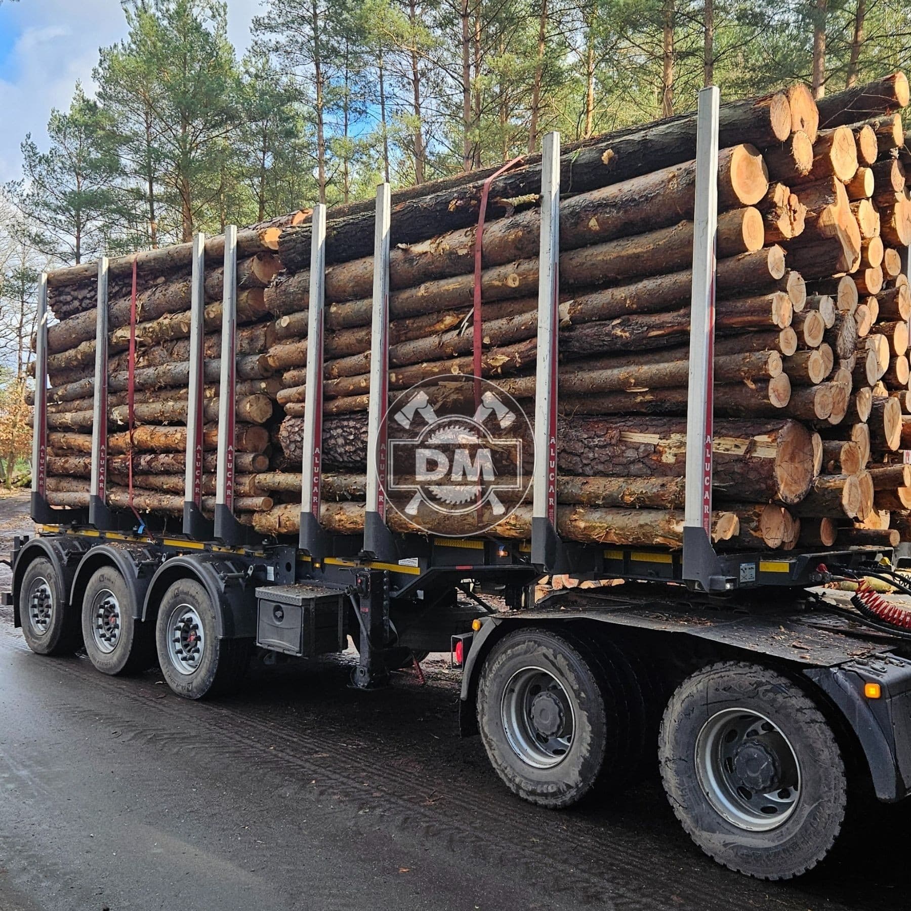 Fotografie z galerie