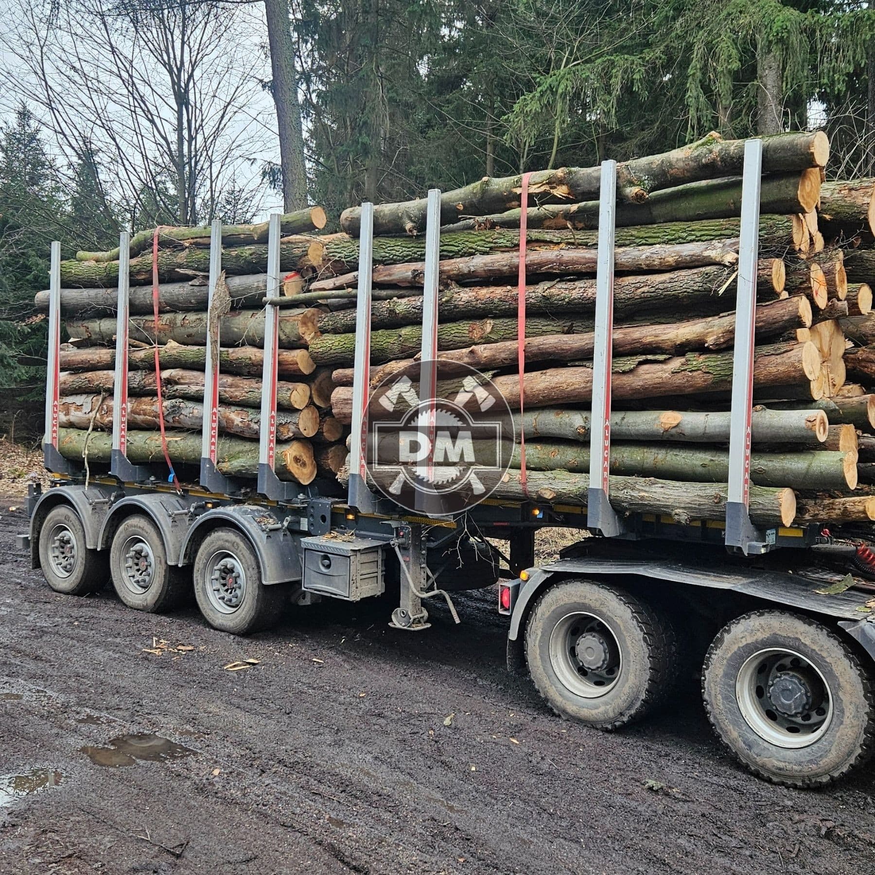 Fotografie z galerie