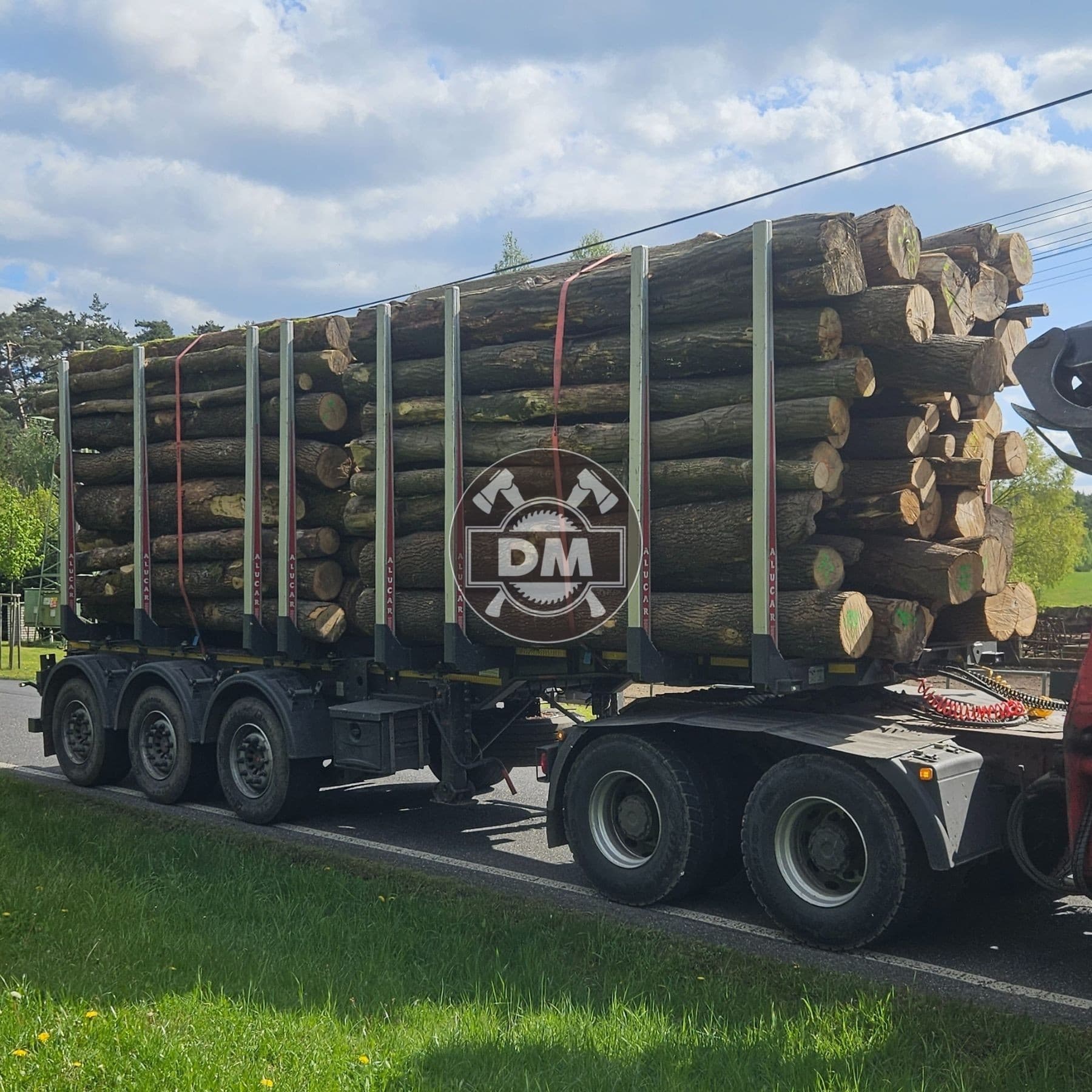 Fotografie z galerie