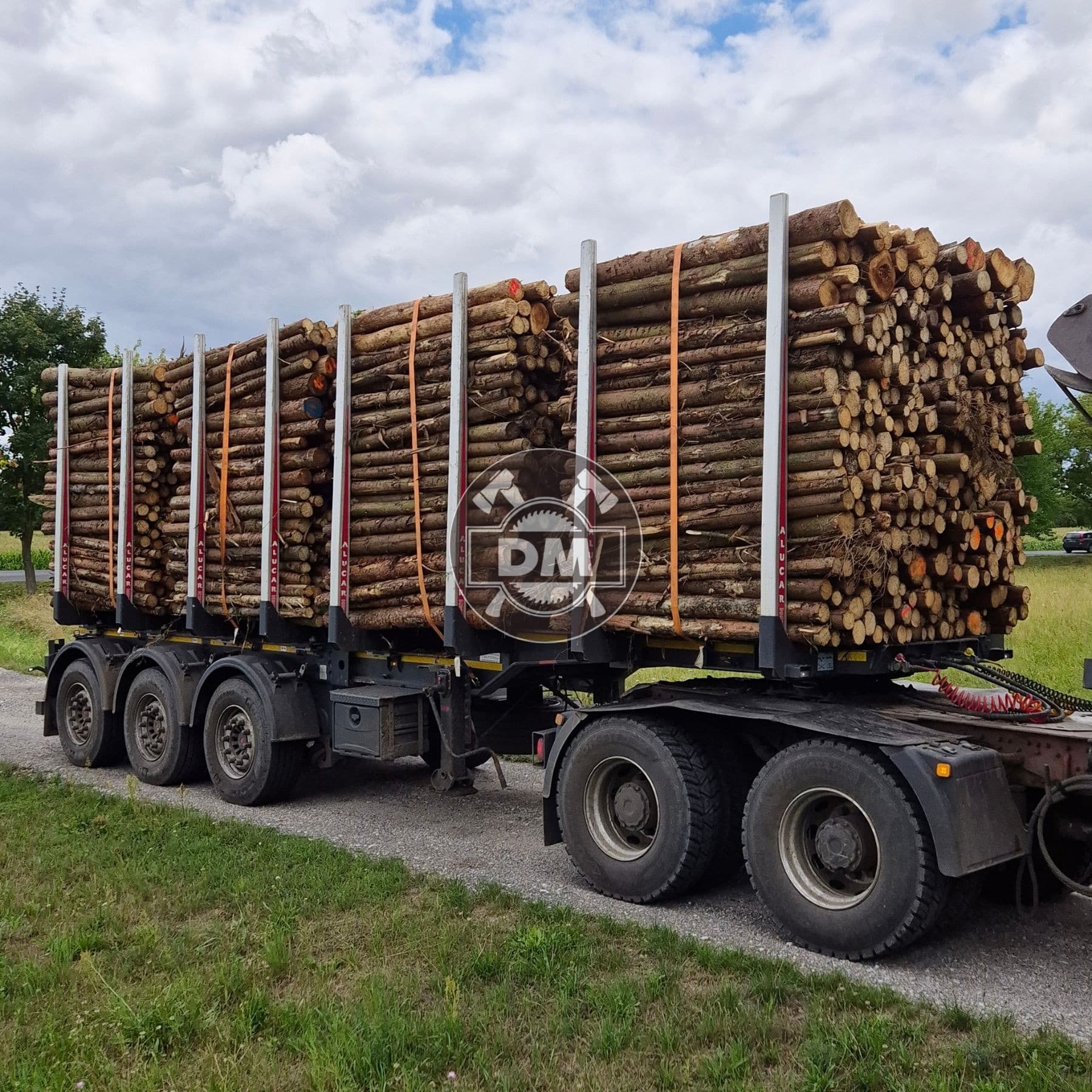 Fotografie z galerie