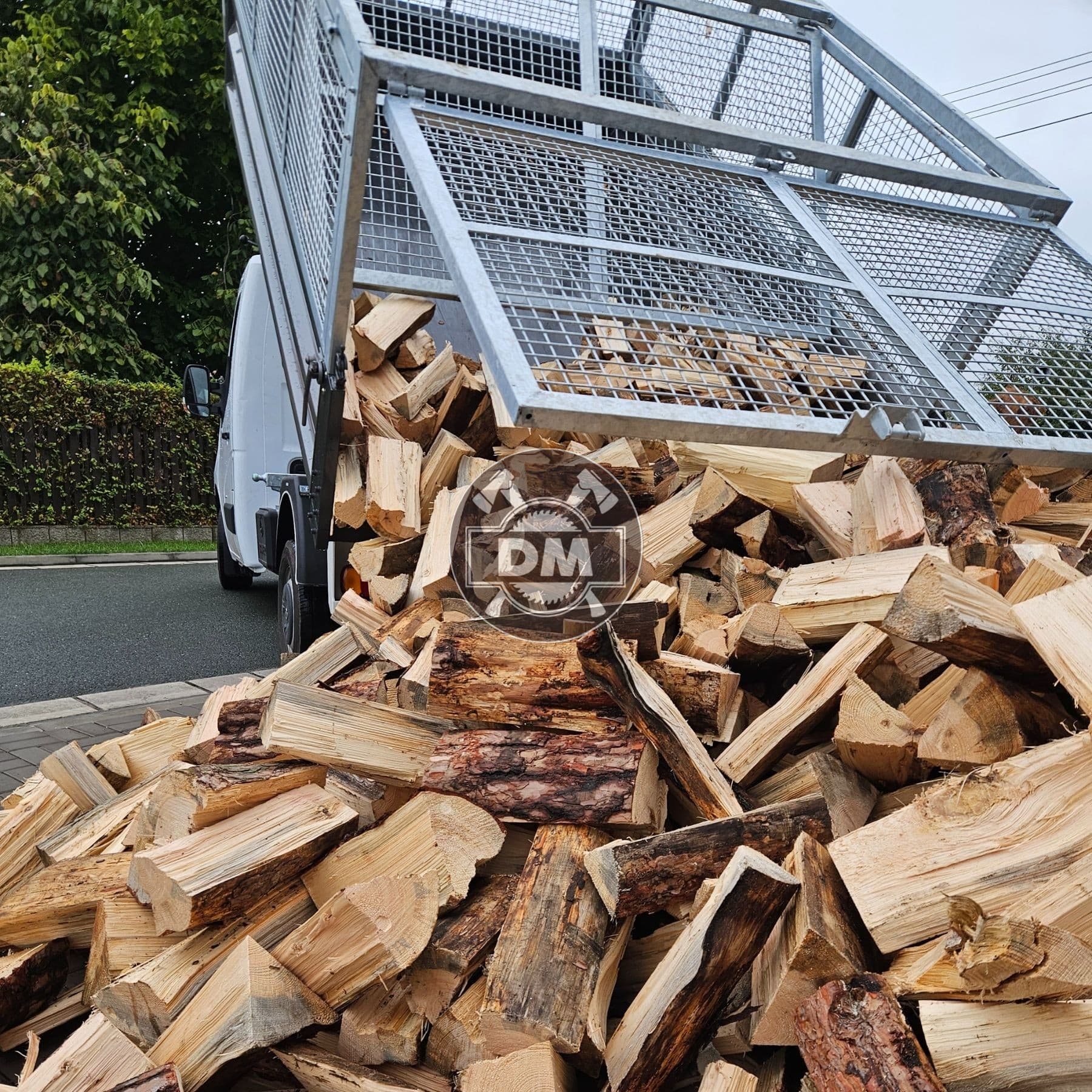 Fotografie z galerie