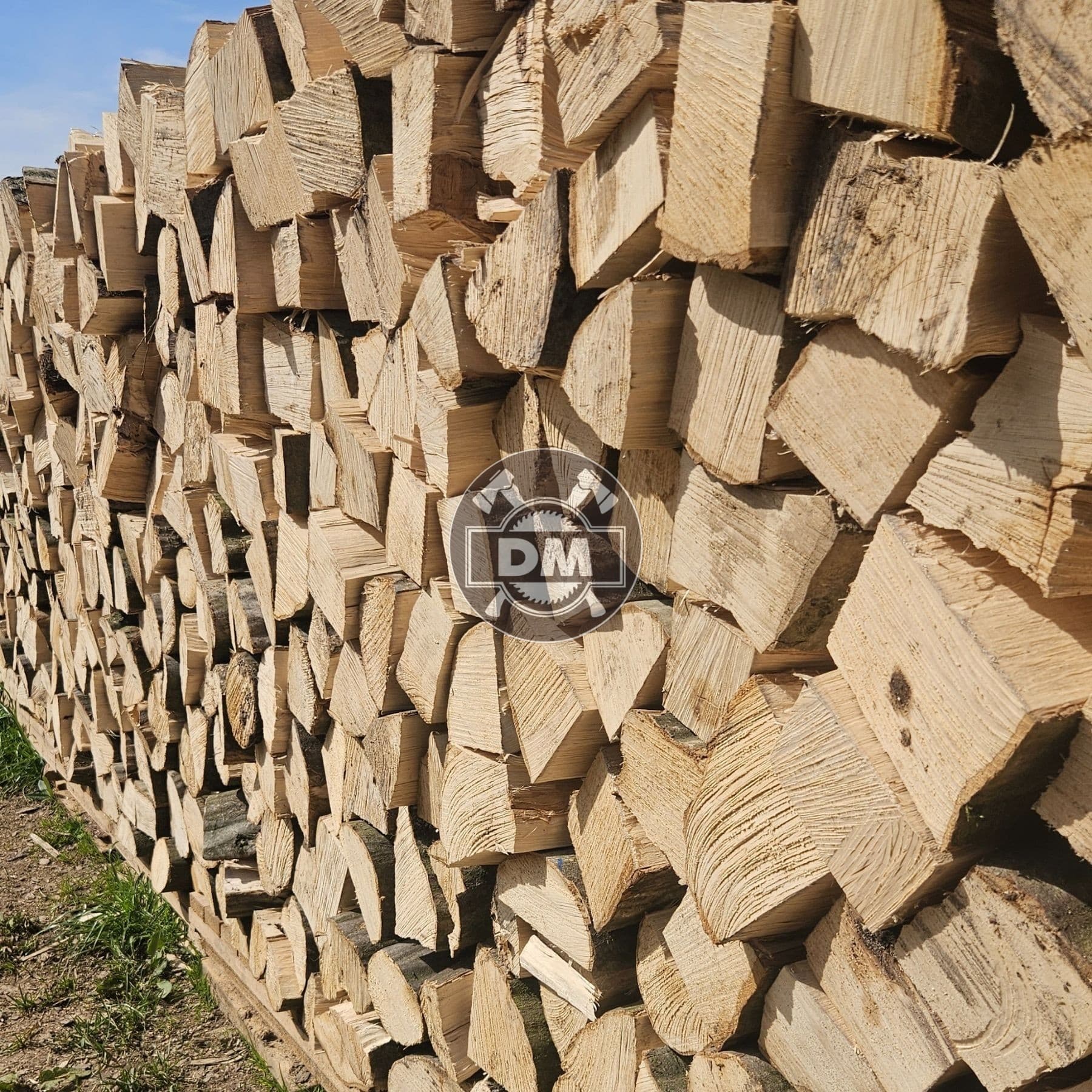 Fotografie z galerie