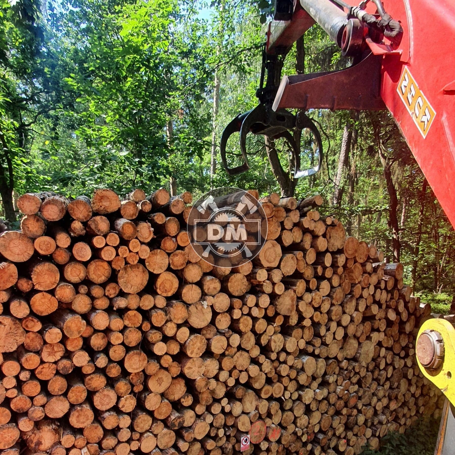 Fotografie z galerie