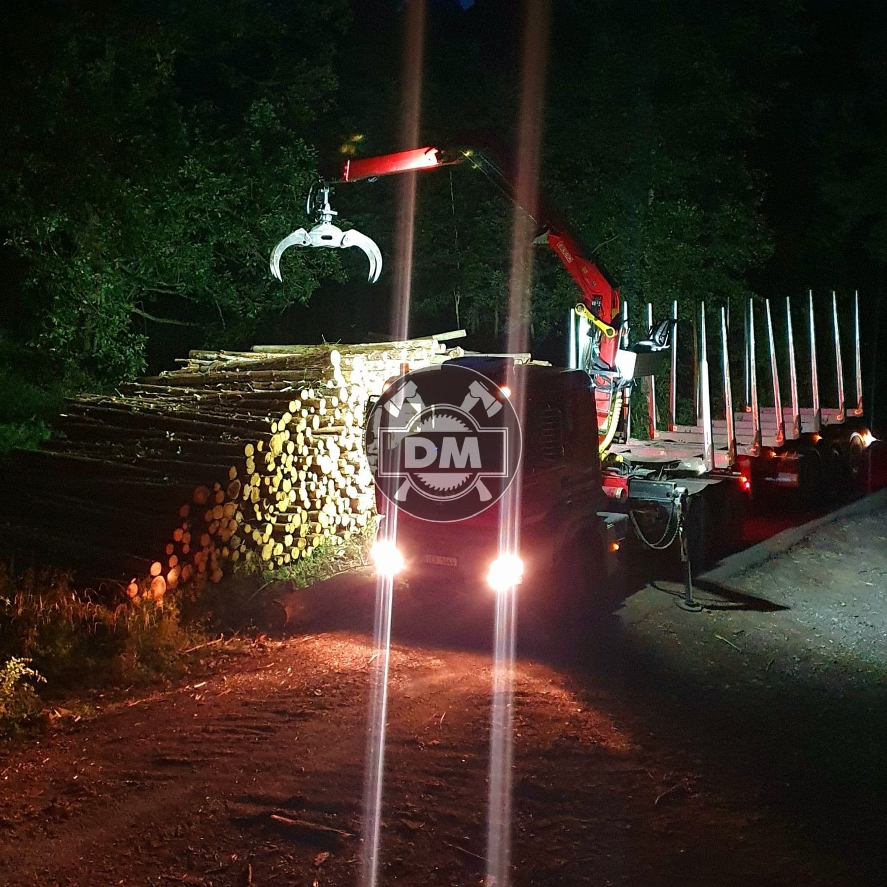 Fotografie z galerie