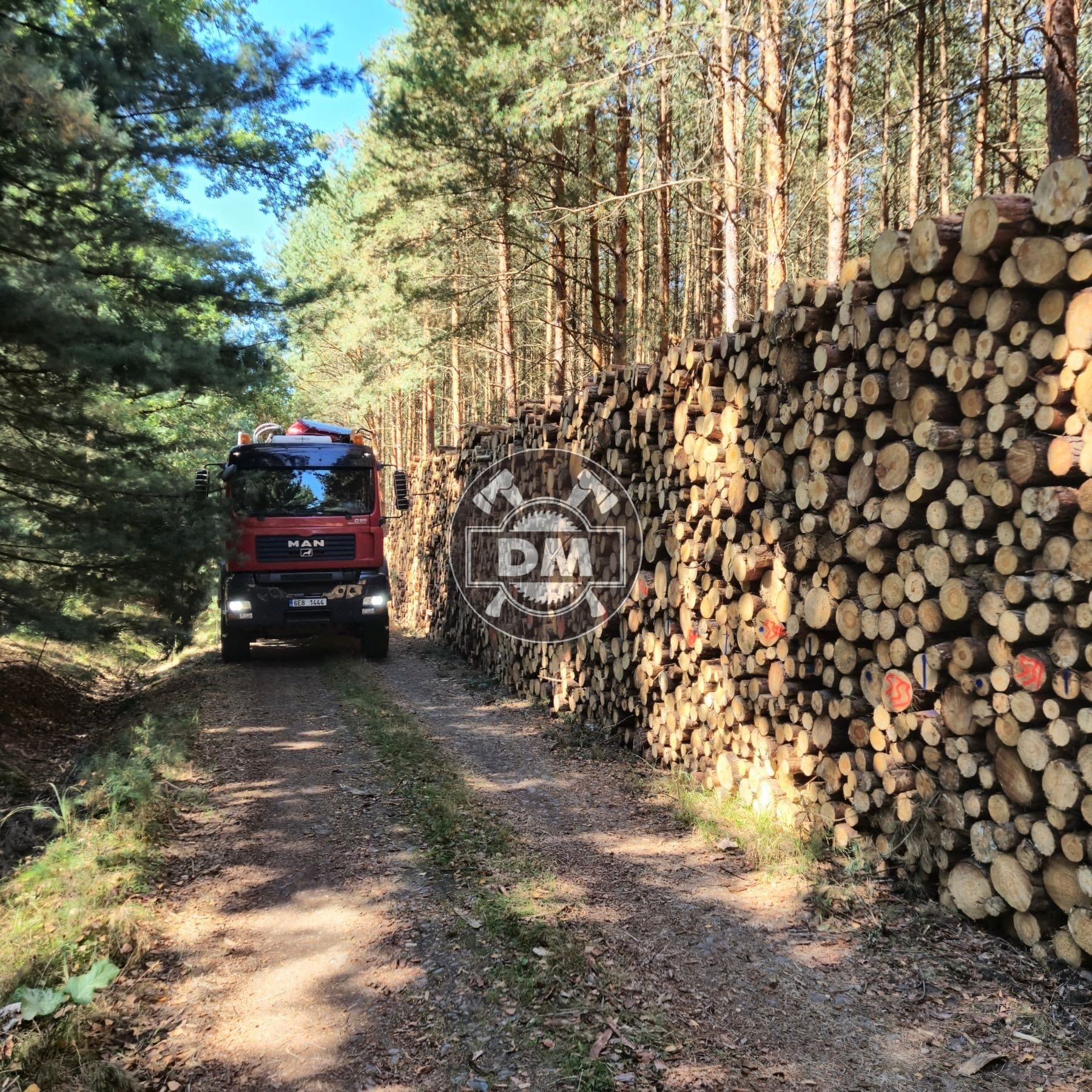 Fotografie z galerie