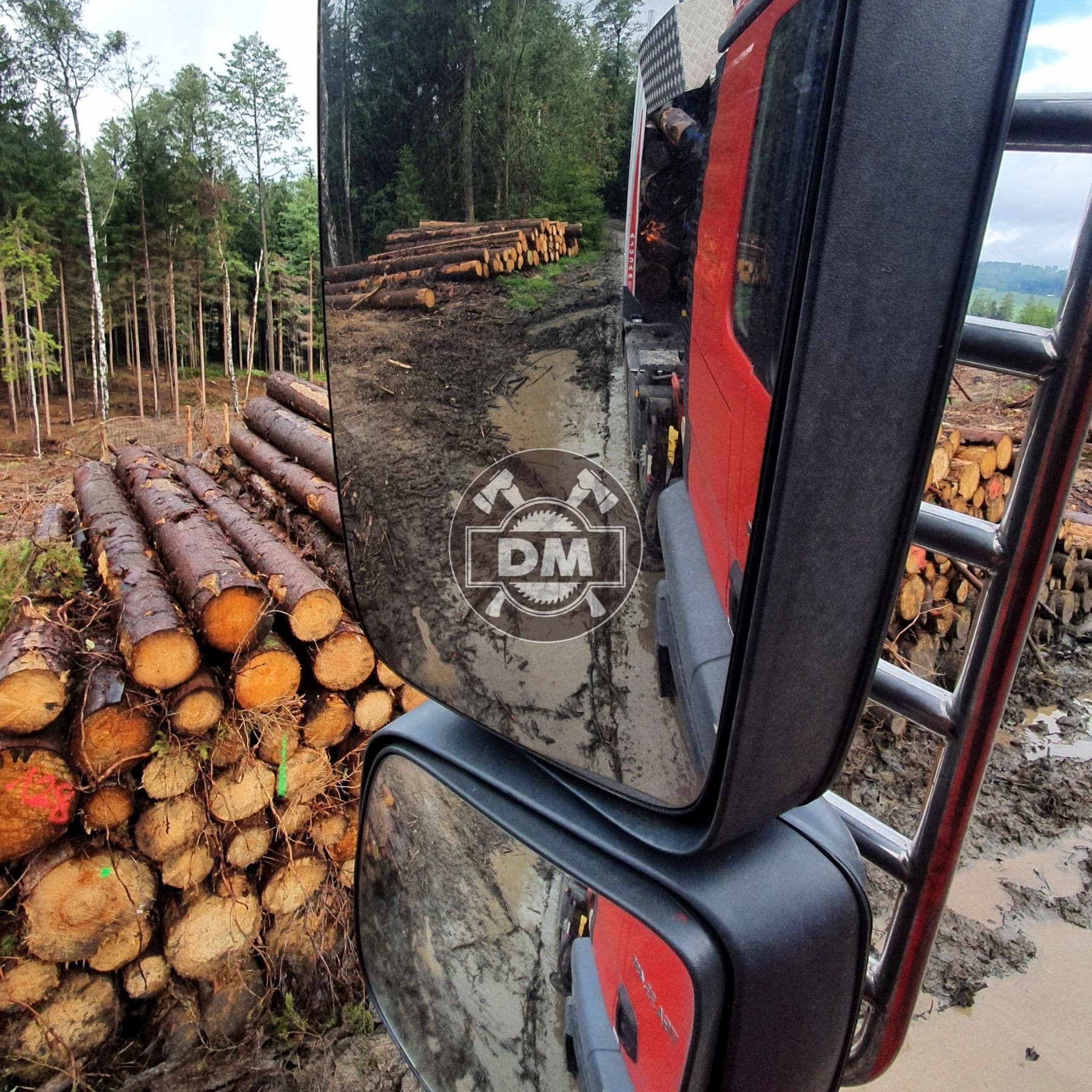 Fotografie z galerie