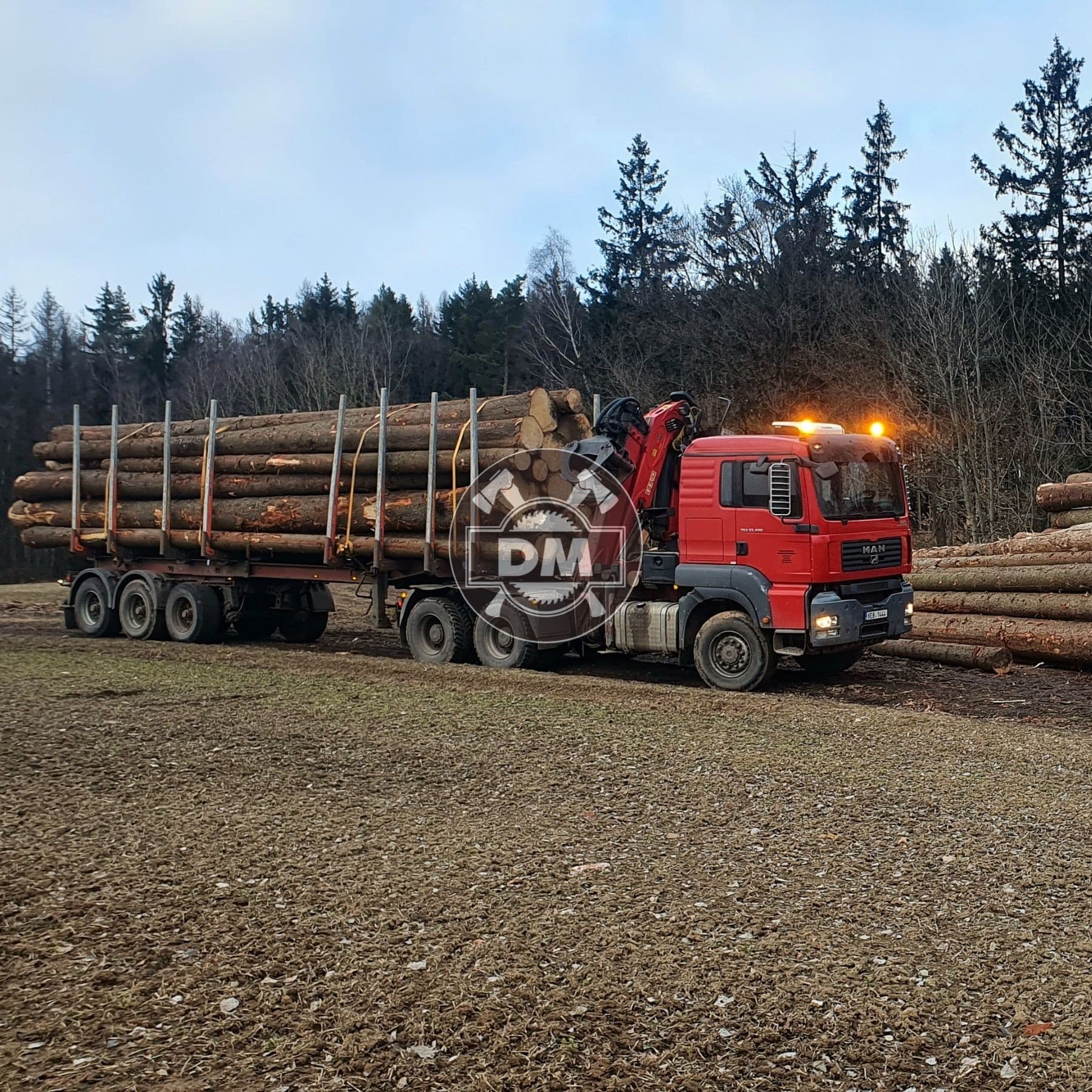 Fotografie z galerie