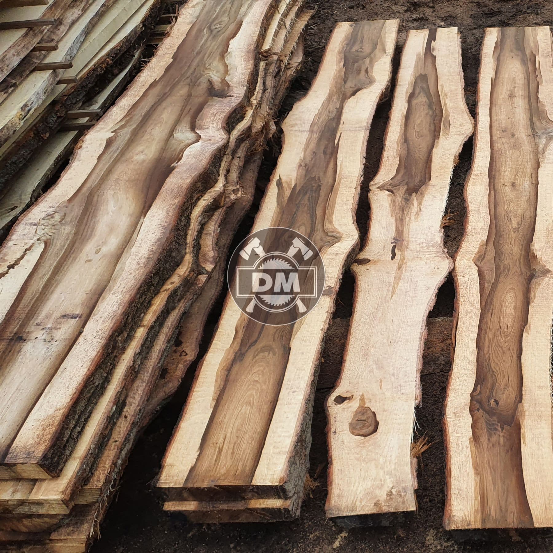 Fotografie z galerie