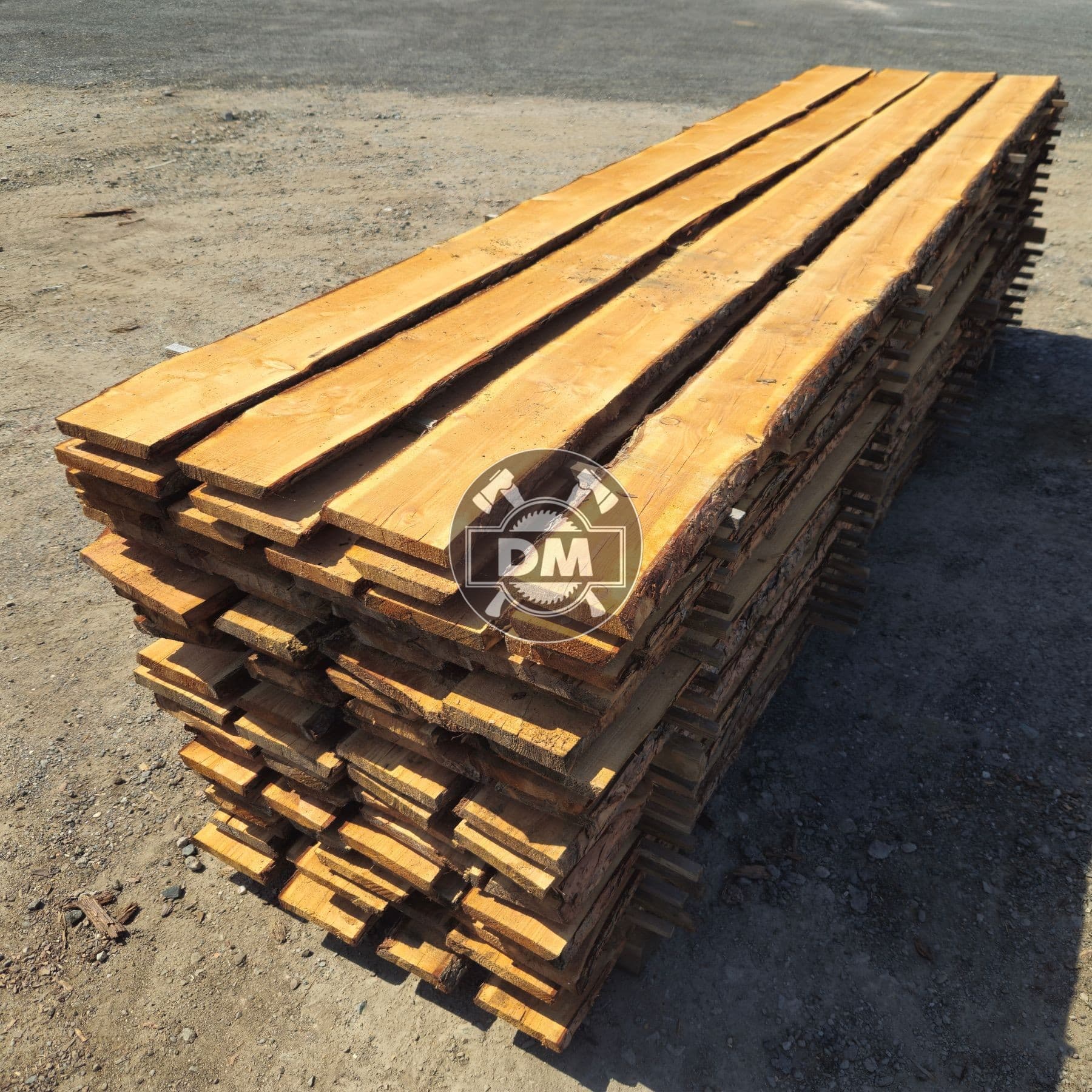 Fotografie z galerie