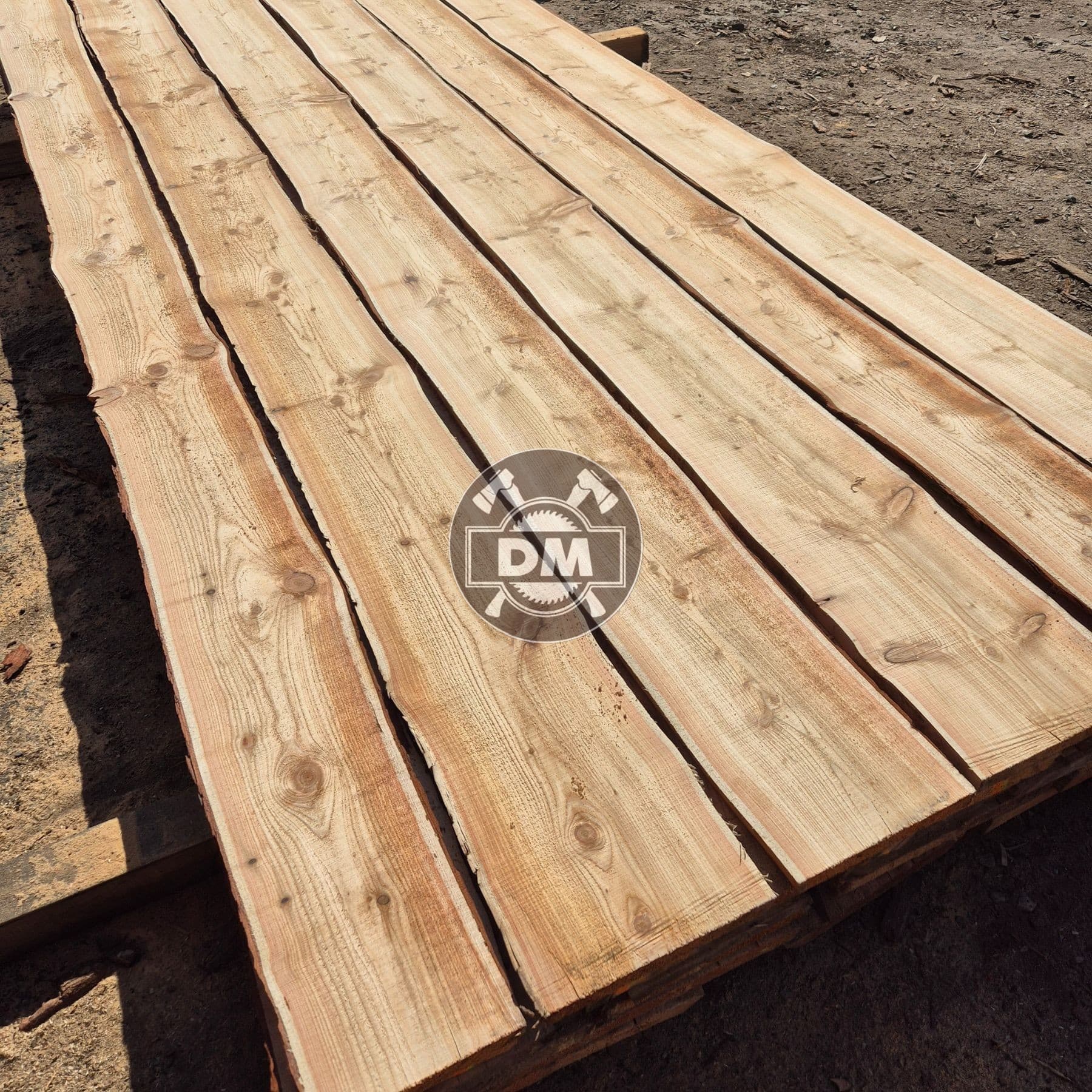 Fotografie z galerie