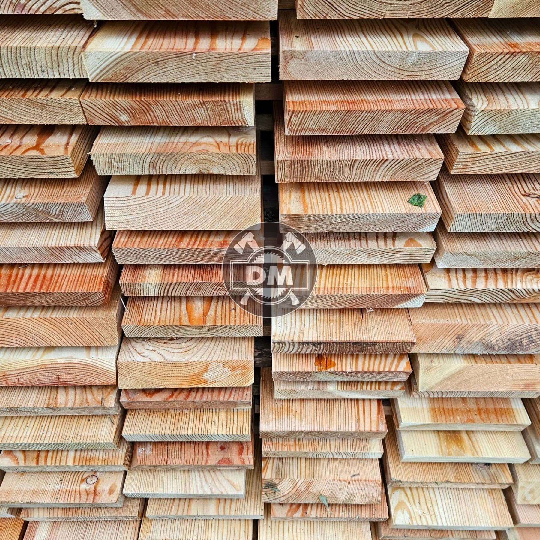 Fotografie z galerie