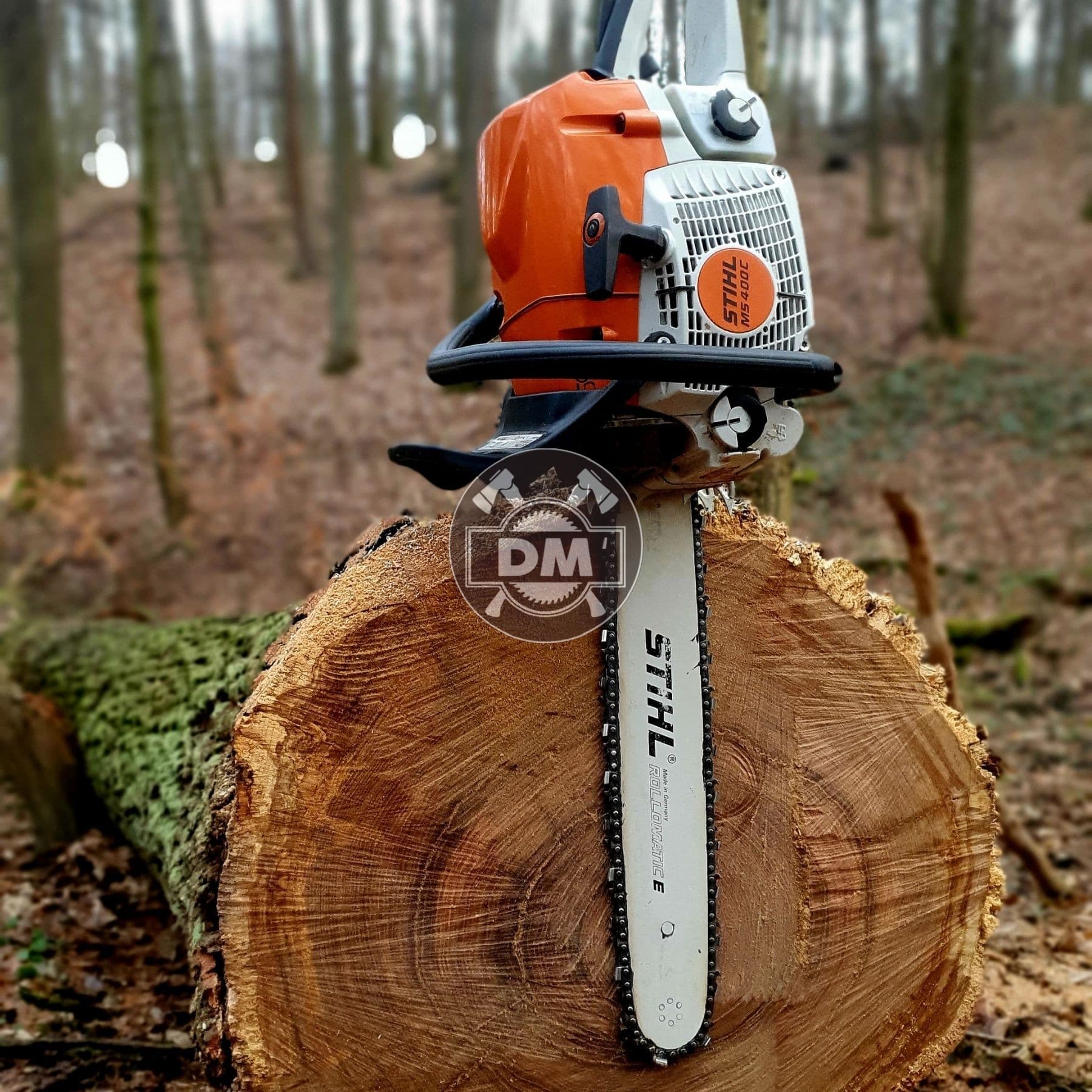 Fotografie z galerie