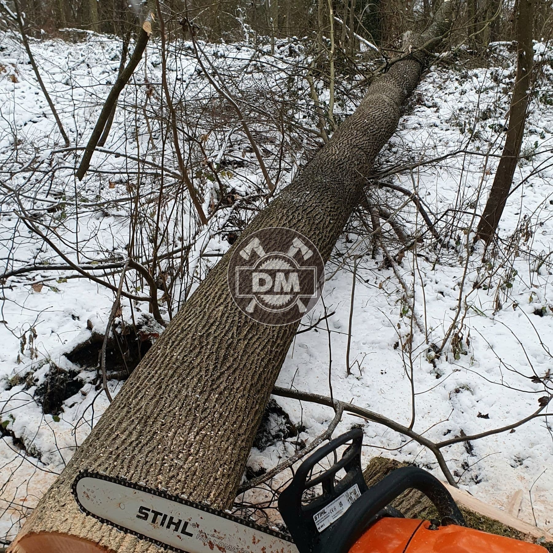 Fotografie z galerie