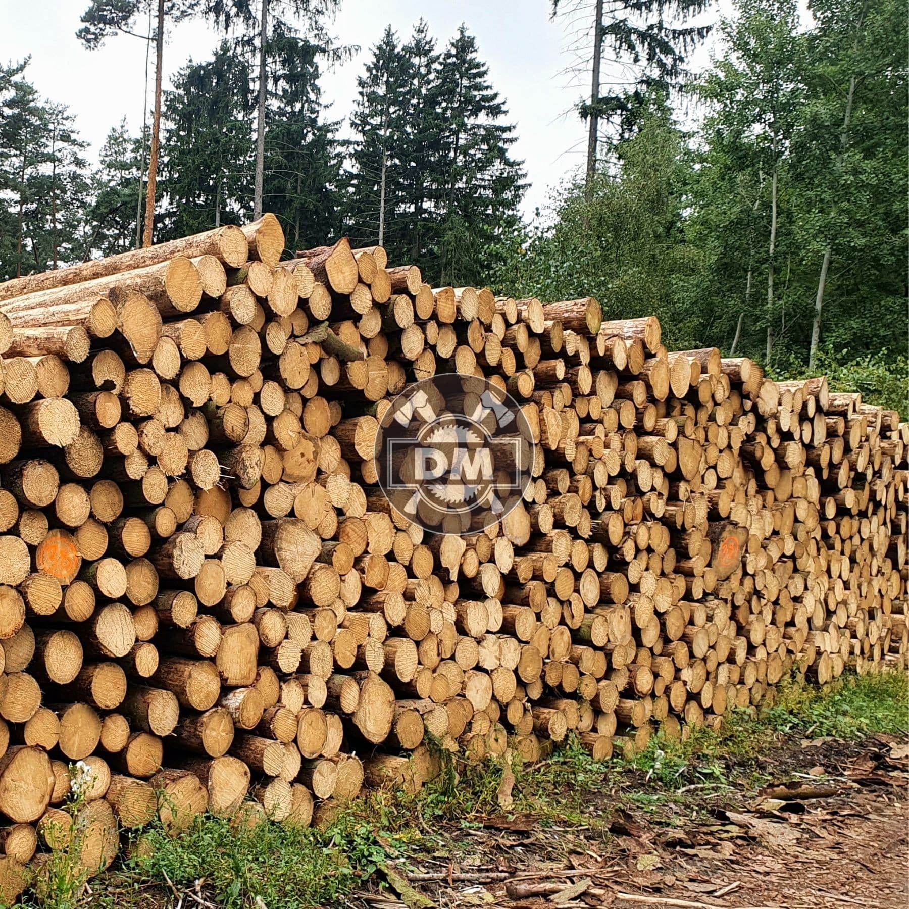 Fotografie z galerie