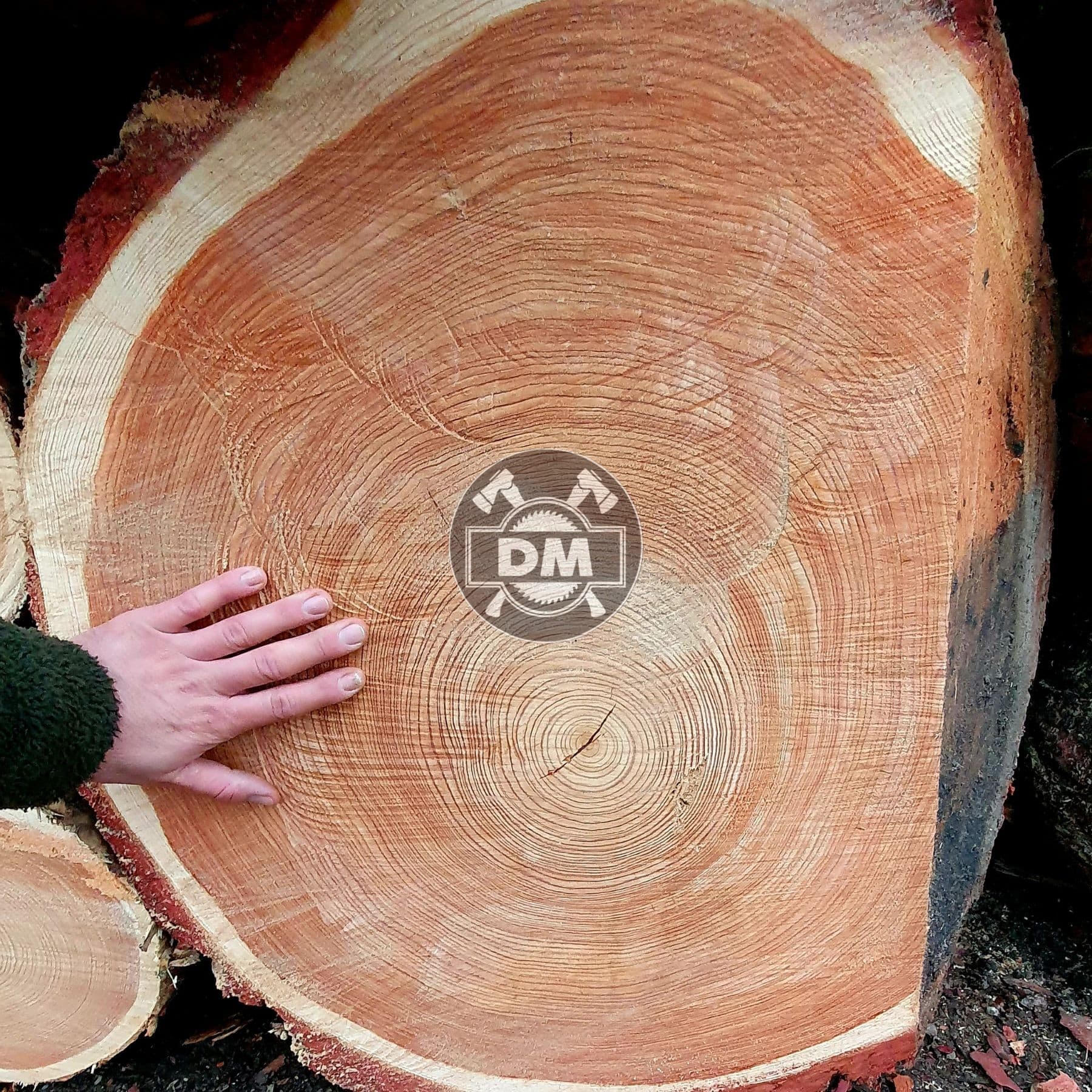 Fotografie z galerie