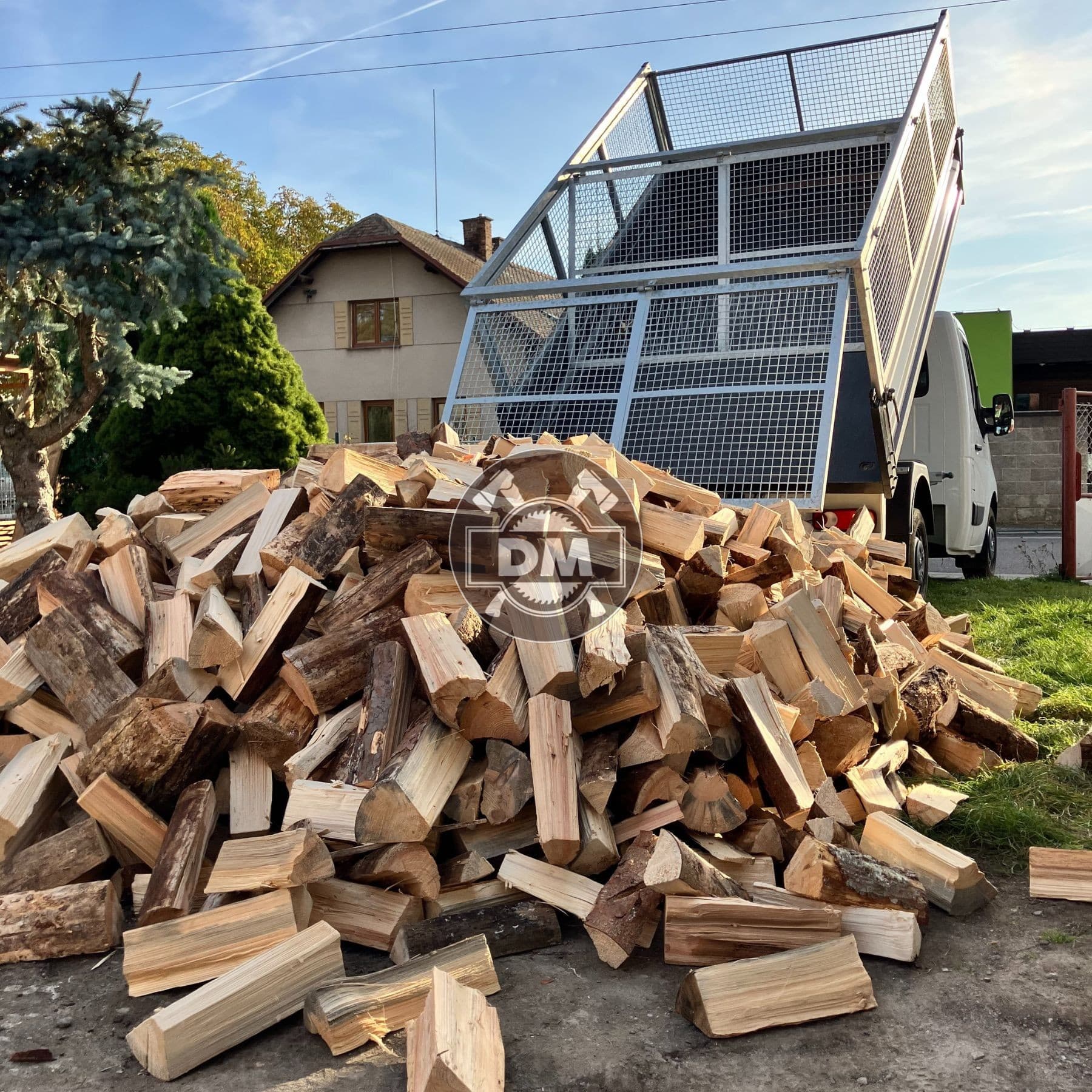 Fotografie z galerie